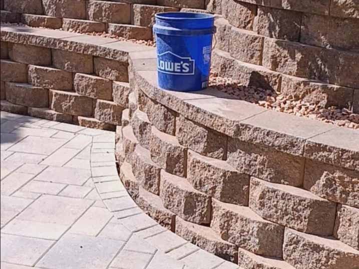 Quetzalito Tree Service